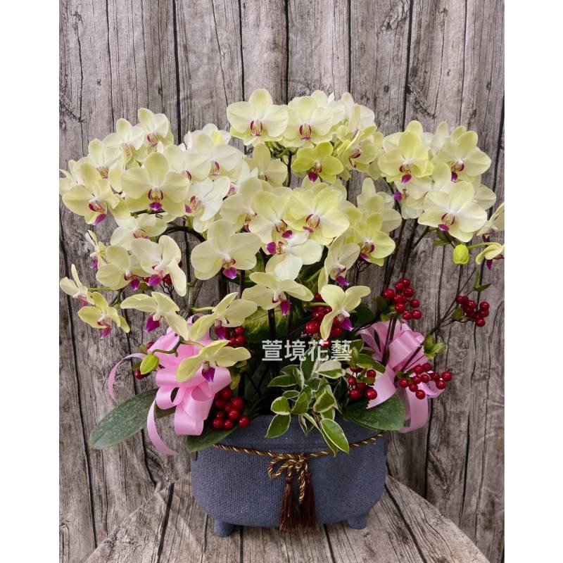 蘭花植栽5
